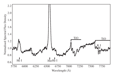 Spectrum of GY Cnc