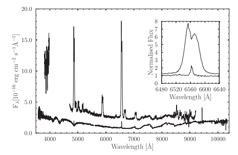Spectrum of IR Com