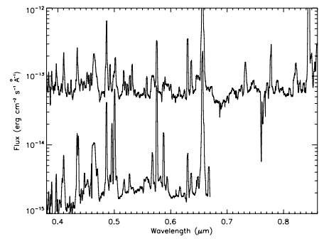 Spectrum of V1186 Sco
