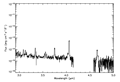 Spectrum of V1186 Sco